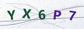 Güvenlik kodu
